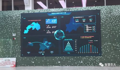 蔬菜大棚變身智慧工廠 計算機軟硬件開發賦能現代農業遠程管理